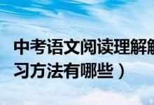 中考語(yǔ)文閱讀理解解題技巧詳解(中考語(yǔ)文學(xué)習(xí)方法有哪些)