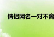 情侶網(wǎng)名一對(duì)不離不棄(情侶網(wǎng)名一對(duì))