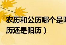 農(nóng)歷和公歷哪個是陰歷哪個是陽歷(公歷是陰歷還是陽歷)