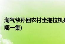 淘氣爺孫回農(nóng)村坐拖拉機是第幾集(淘氣爺孫農(nóng)村坐拖拉機在哪一集)