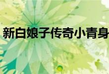 新白娘子傳奇小青身世(小青真實身世是什么)