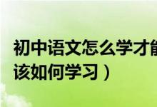 初中語文怎么學(xué)才能快速提高成績(jī)（中考語文該如何學(xué)習(xí)）
