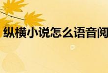 縱橫小說(shuō)怎么語(yǔ)音閱讀（縱橫小說(shuō)怎么聽(tīng)書(shū)）