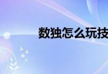 數(shù)獨(dú)怎么玩技巧(數(shù)獨(dú)怎么玩)