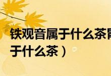 鐵觀音屬于什么茶胃不好可以喝嗎(鐵觀音屬于什么茶)