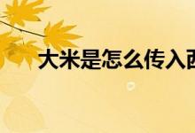 大米是怎么傳入西方(大米誰(shuí)發(fā)明的)