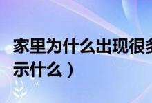 家里為什么出現(xiàn)很多小螞蟻(家里出現(xiàn)螞蟻預(yù)示什么)