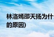 林洛嫣邵天揚為什么分手(林洛嫣邵天揚分手的原因)