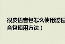 很皮語(yǔ)音包怎么使用過(guò)程視頻（很皮語(yǔ)音包怎么用-很皮語(yǔ)音包使用方法）