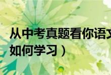 從中考真題看你語文的學(xué)習(xí)問題(中考語文該如何學(xué)習(xí))