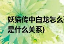 妖貓傳中白龍怎么死的(妖貓傳白龍和楊貴妃是什么關系)