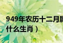949年農(nóng)歷十二月屬什么生肖(農(nóng)歷十二月是什么生肖)