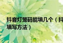抖音燈籠碼能填幾個(gè)（抖音燈籠碼怎么用-抖音燈籠碼使用填寫(xiě)方法）