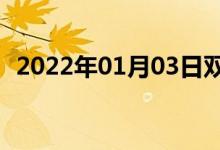 2022年01月03日雙語整理:蒼蠅雙語例句