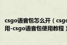 csgo語(yǔ)音包怎么開(kāi)（csgo語(yǔ)音包怎么使用-csgo語(yǔ)音包怎么用-csgo語(yǔ)音包使用教程）