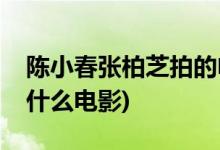 陳小春張柏芝拍的電影(陳小春張柏芝合作過(guò)什么電影)