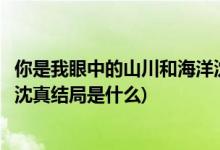 你是我眼中的山川和海洋沈真結局(你是我眼中的山川和海洋沈真結局是什么)