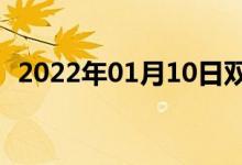2022年01月10日雙語整理:專長雙語例句