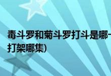 毒斗羅和菊斗羅打斗是哪一集(斗羅大陸動(dòng)畫毒斗羅和菊斗羅打架哪集)