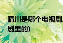 晴川是哪個電視劇里的人物(晴川是什么電視劇里的)