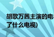 胡歌萬(wàn)茜主演的電視劇有哪些(胡歌和萬(wàn)茜演了什么電視)