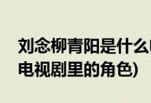 劉念柳青陽(yáng)是什么電視劇(劉念柳青陽(yáng)是什么電視劇里的角色)