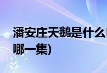 潘安莊天鵝是什么電視劇(濟(jì)公活佛畢潘安是哪一集)