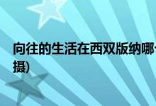向往的生活在西雙版納哪個寨子(向往的生活4在什么地方拍攝)