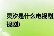 靈汐是什么電視劇里的人物(靈汐來自哪部電視劇)