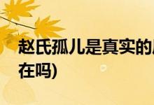 趙氏孤兒是真實的歷史嗎(趙氏孤兒真實的存在嗎)