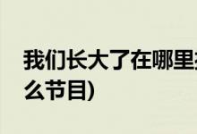 我們長(zhǎng)大了在哪里播出(我們長(zhǎng)大了是一檔什么節(jié)目)