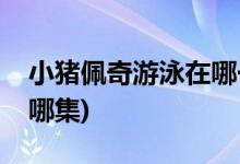 小豬佩奇游泳在哪一集(小豬佩奇游泳在動(dòng)畫哪集)