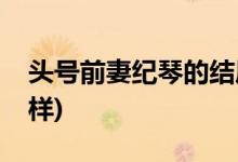 頭號(hào)前妻紀(jì)琴的結(jié)局是(頭號(hào)前妻紀(jì)琴結(jié)局怎樣)