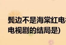 鬢邊不是海棠紅電視劇結局(鬢邊不是海棠紅電視劇的結局是)