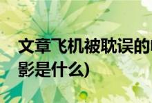 文章飛機(jī)被耽誤的電影(文章飛機(jī)被耽誤的電影是什么)
