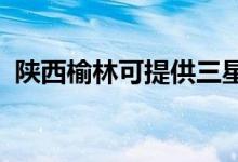 陜西榆林可提供三星手機維修服務地址在哪