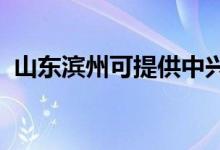 山東濱州可提供中興手機維修服務(wù)地址在哪