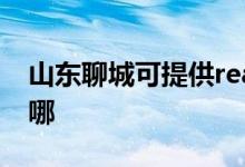 山東聊城可提供realme手機(jī)維修服務(wù)地址在哪