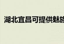 湖北宜昌可提供魅族手機維修服務(wù)地址在哪
