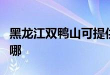 黑龍江雙鴨山可提供中興手機(jī)維修服務(wù)地址在哪