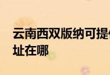 云南西雙版納可提供realme手機維修服務(wù)地址在哪