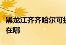 黑龍江齊齊哈爾可提供魅族手機維修服務(wù)地址在哪