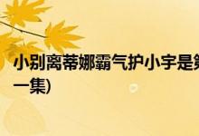 小別離蒂娜霸氣護(hù)小宇是第幾集(小別離蒂娜霸氣護(hù)小宇是哪一集)