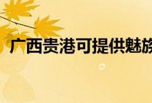 廣西貴港可提供魅族手機維修服務(wù)地址在哪