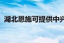 湖北恩施可提供中興手機(jī)維修服務(wù)地址在哪