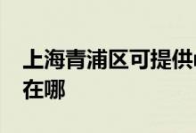 上海青浦區(qū)可提供realme手機維修服務地址在哪