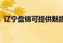 遼寧盤錦可提供魅族手機維修服務(wù)地址在哪