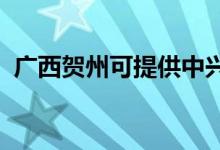 廣西賀州可提供中興手機維修服務地址在哪