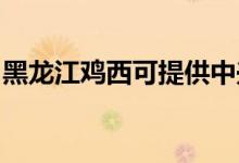 黑龍江雞西可提供中興手機(jī)維修服務(wù)地址在哪