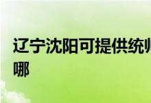 遼寧沈陽(yáng)可提供統(tǒng)帥平板電視維修服務(wù)地址在哪